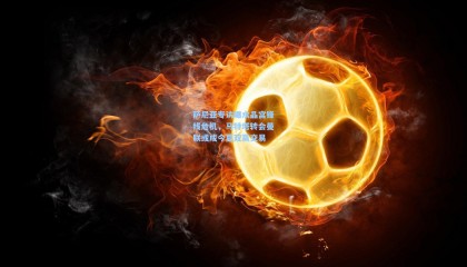 萨尼亚专访曝水晶宫锋线危机，马特塔转会曼联或成今夏双赢交易